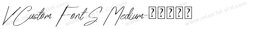 VCustom FontS Medium字体转换